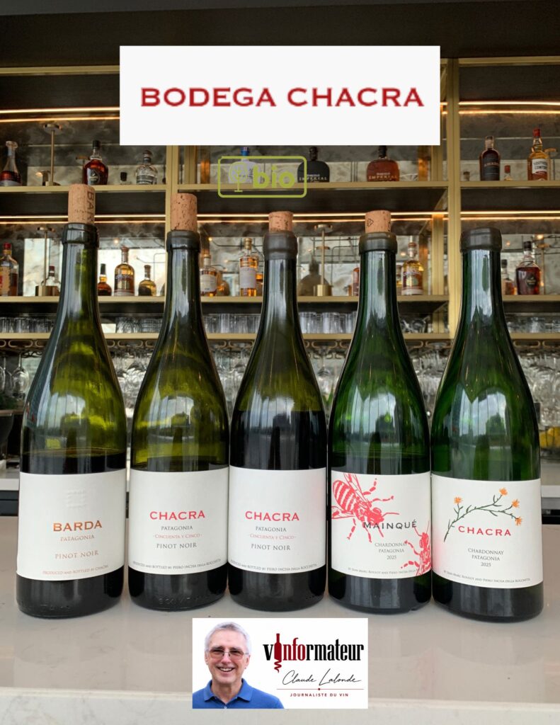 Dégustation des vins de Bodega Chacra bouteilles