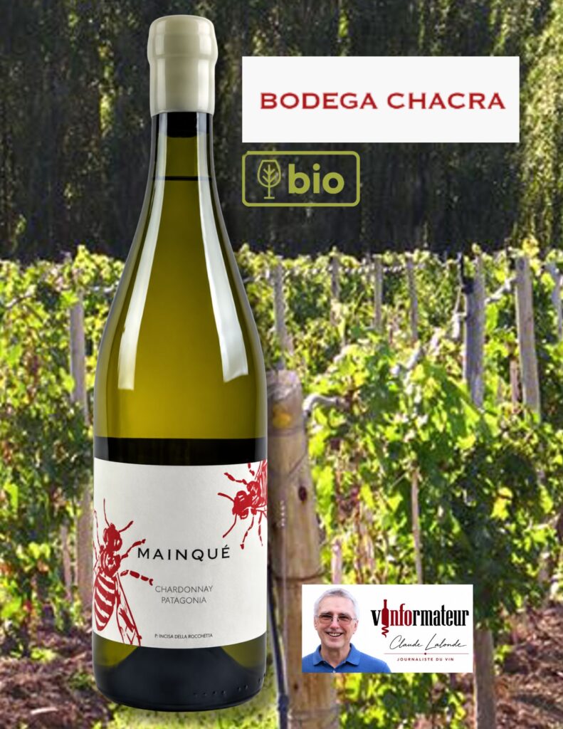 Chardonnay, Mainqué, Bodega Chacra, Argentine, Patagonie, vin blanc bio, 2025 bouteille