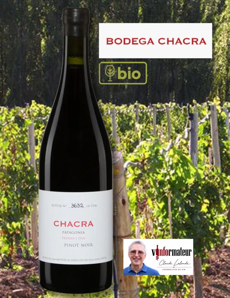 Pinot Noir, Treinta y Dos, Bodega Chacra, Argentine, Patagonie, vin rouge bio, 2024 bouteille