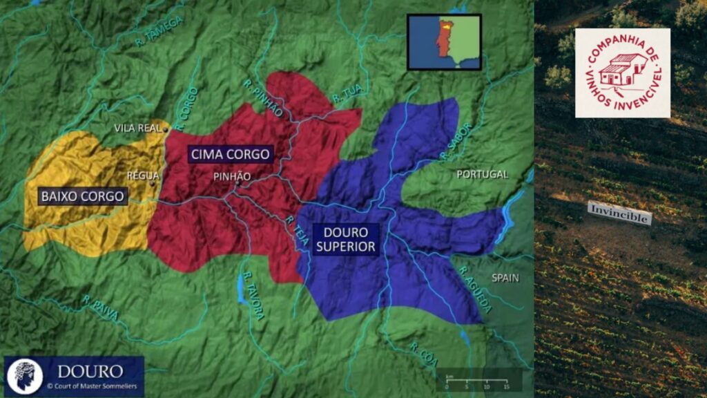 Carte viticole Douro