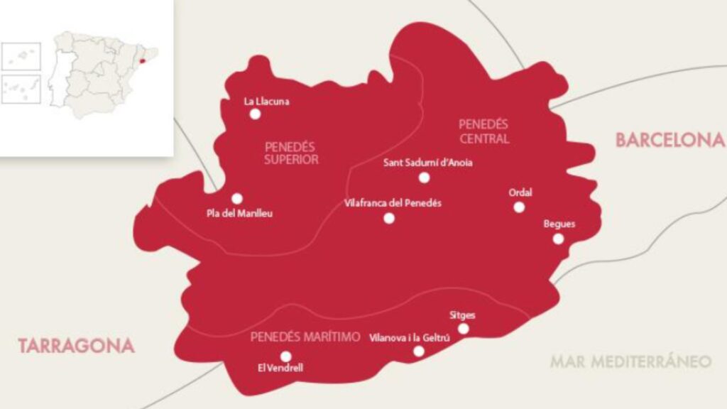 Carte viticole Penedès