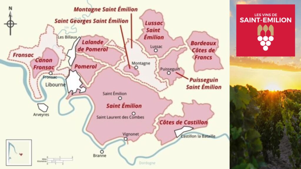 Carte viticole Saint-Émilion