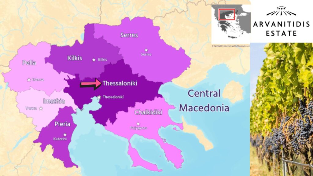 Carte viticole Thessaloniki - Grèce