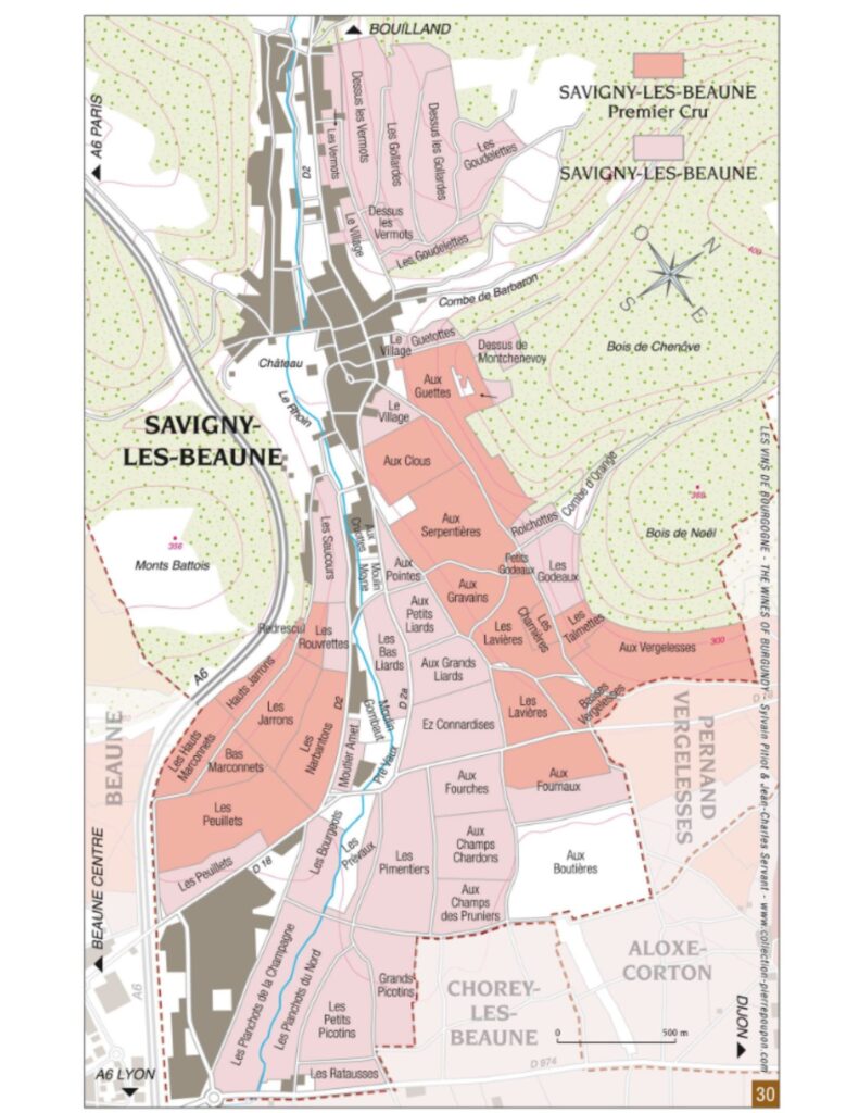 Carte viticole - Bourgogne - Savigny-les-Beaune