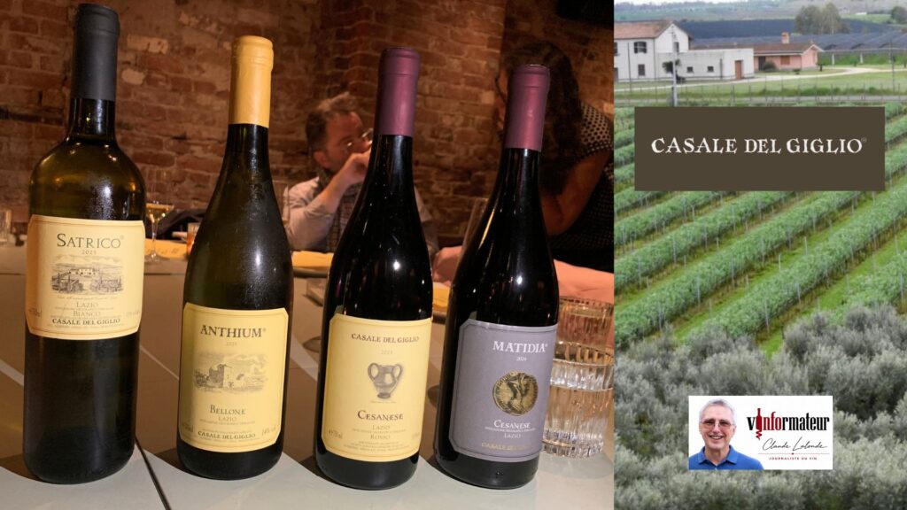 Casale del Giglio : à la découverte des vins du Latium, aux portes de Rome