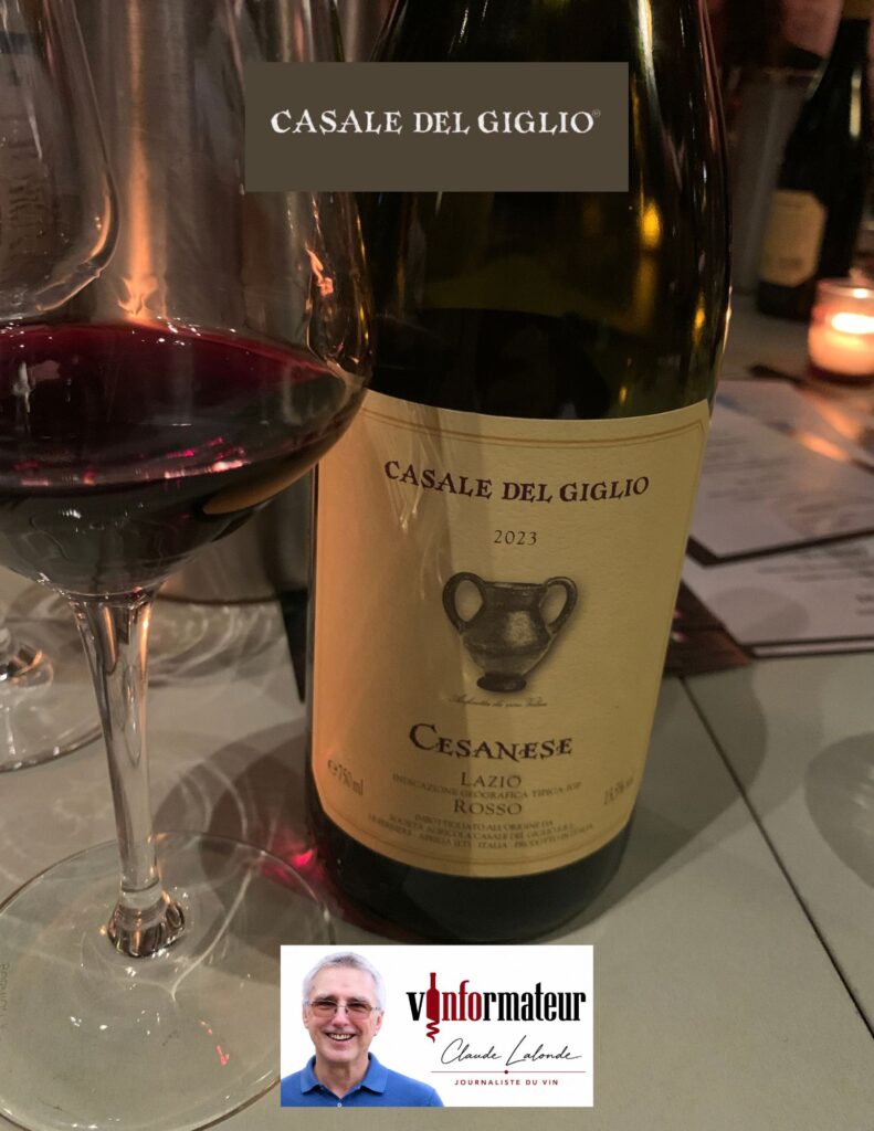 Cesanese, Lazio Rosso IGT, vin rouge, 2023 bouteille