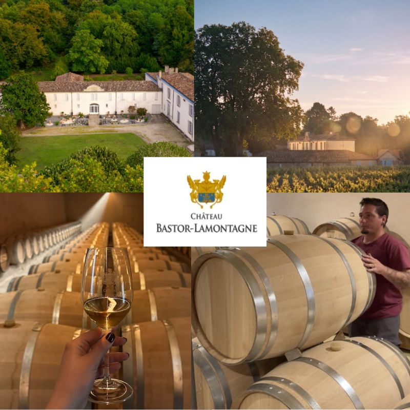 Château Bastor-Lamontagne: chai et vignobles