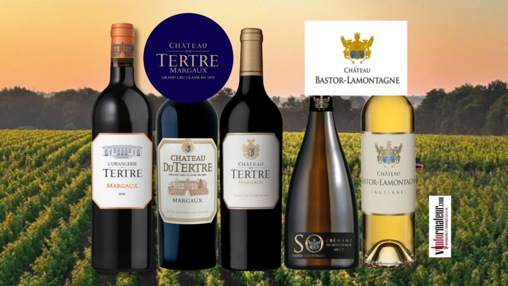 Château du Tertre et Château Bastor-Lamontagne : de Margaux à Sauternes, avec une surprise effervescente