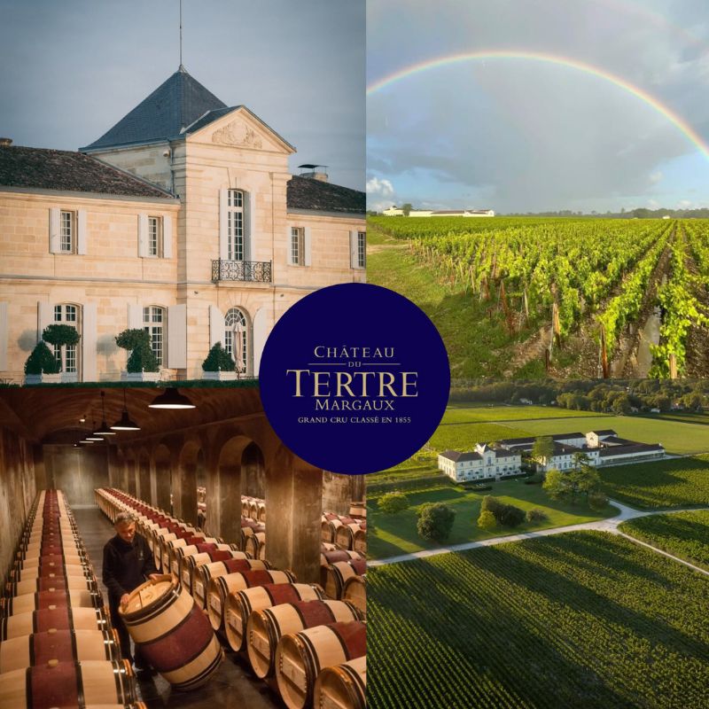Château du Tertre: chai et vignobles