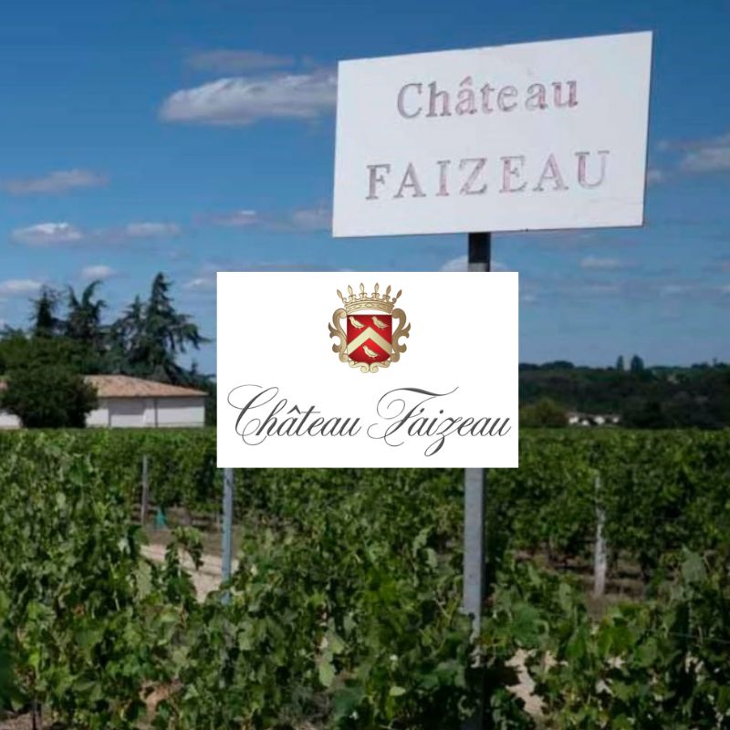 Château Faizeau: vignobles