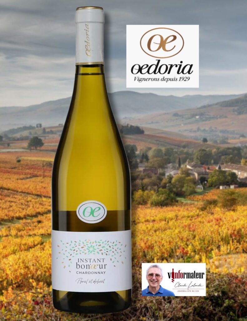 Oedoria, Instant Bon’oeur, France, Beaujolais, 2024 bouteille