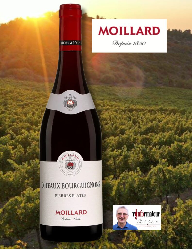 Moillard, Bourgogne, Coteaux Bourguignons, Pierres Plates, vin rouge, 2025 bouteille