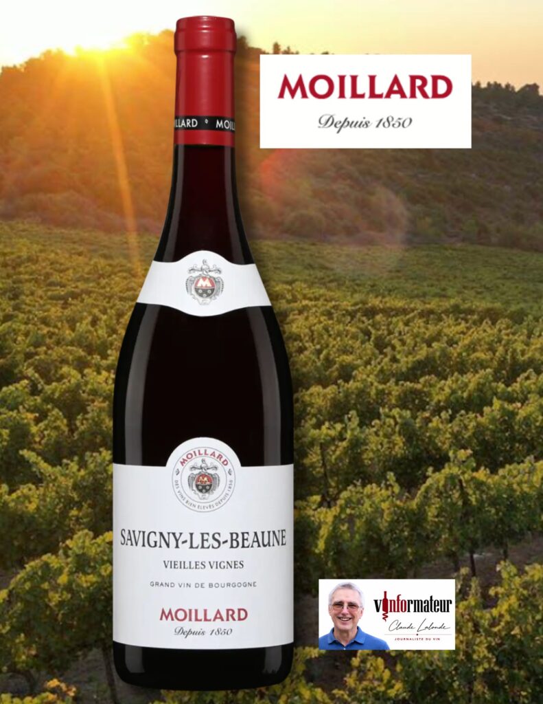 Moillard, Bourgogne, Côte de Beaune, Savigny-Lès-Beaune, Ruisseau d’Or, vin rouge, 2023 bouteille