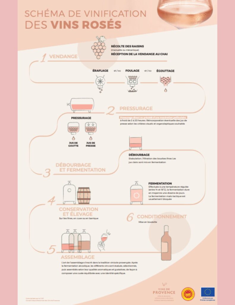 Vinification vins rosés de Provence