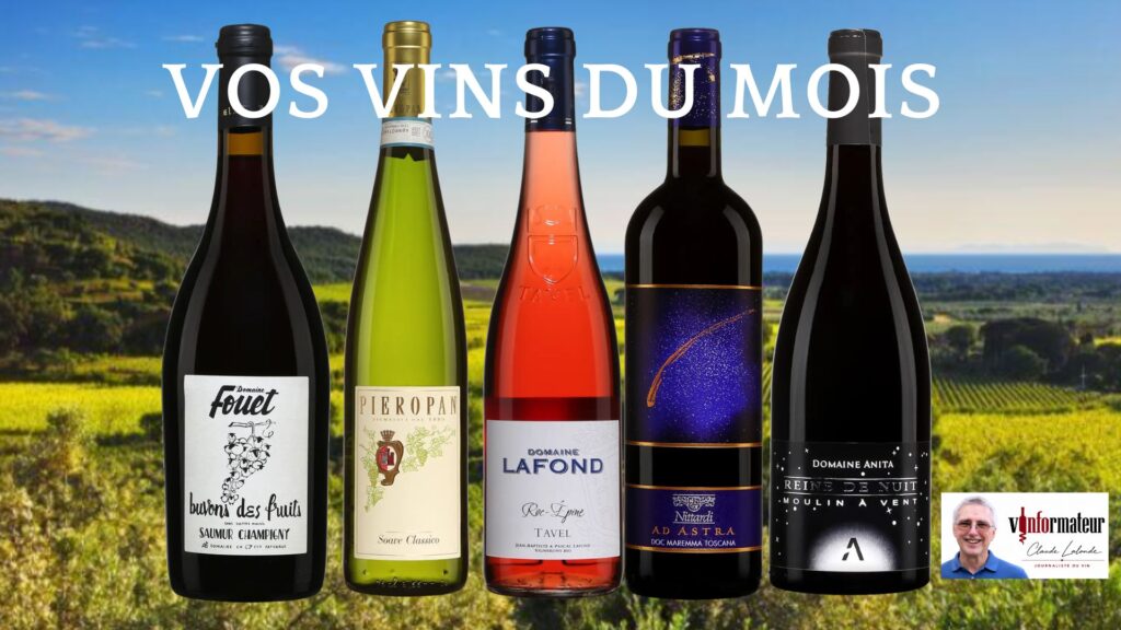 Vos vins du mois pour septembre!