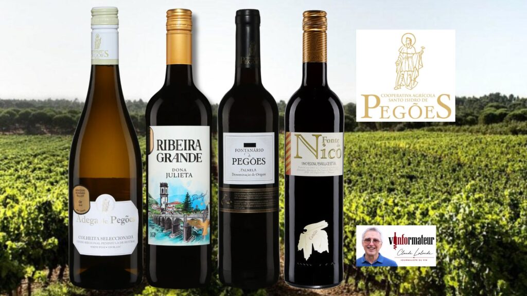 Adega de Pegões : beaucoup de vin du Portugal pour pas cher!