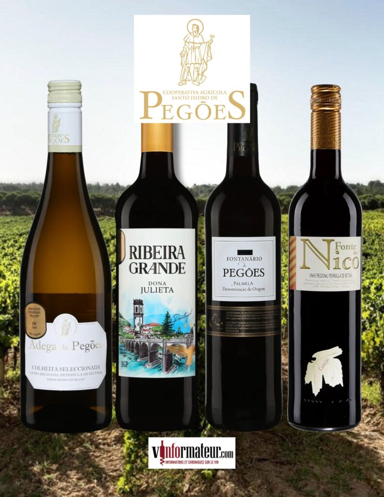 4 vins Adega de Pegoes bouteilles