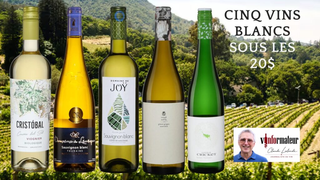 Cinq vins blancs, quatre pays : un monde de saveurs sous les 20 $