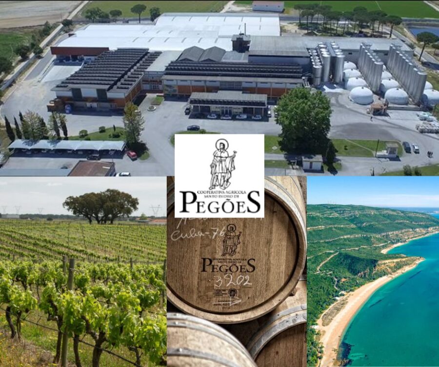Adega de Pegoes: chai et vignobles