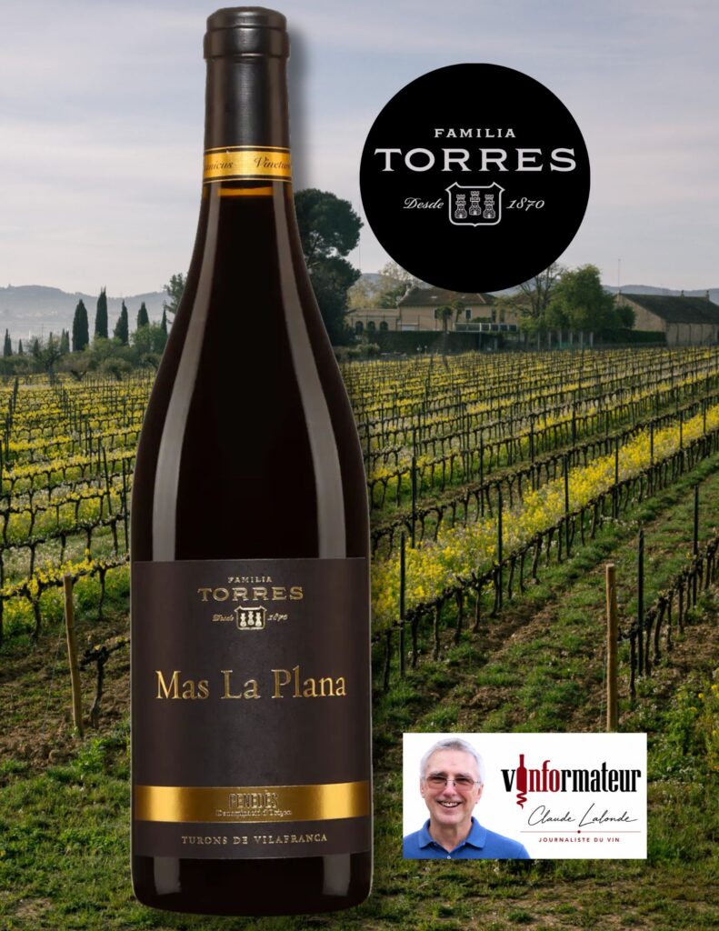 Torres, Mas la Plana, Espagne, Catalogne, Penedès, vin rouge, 2020 bouteille