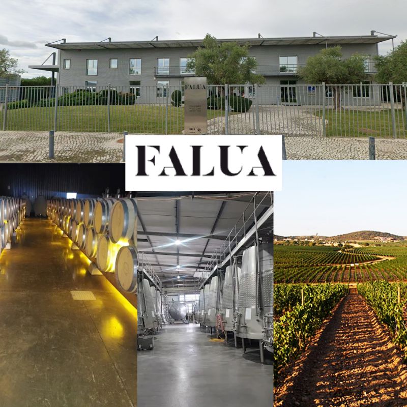 Falua: chai et vignobles