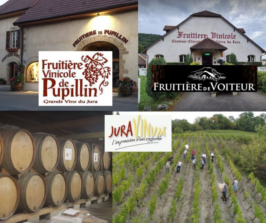 JuraVinum: chais et vignobles