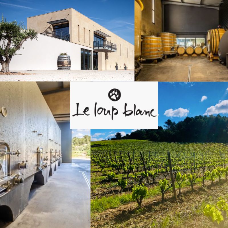 Le Loup Blanc: chai et vignobles