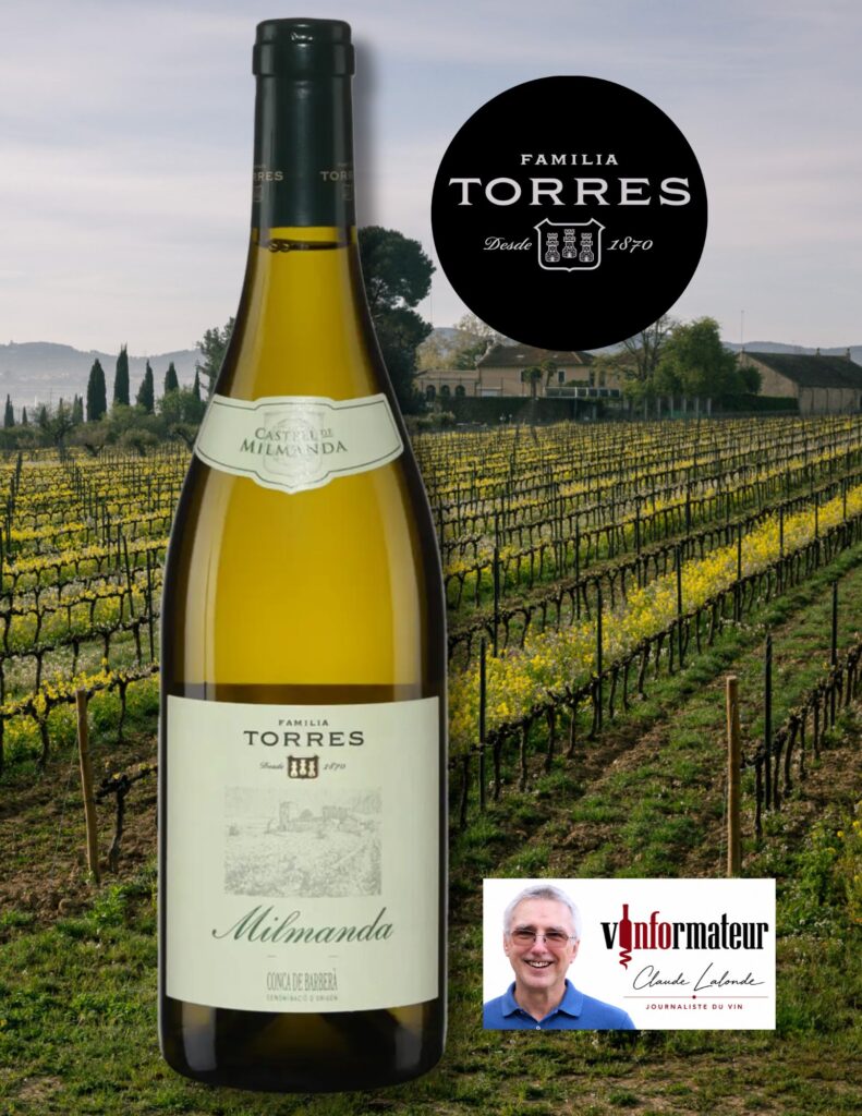 Torres, Milmanda, Espagne, Conca de Barbera, vin blanc, 2025 bouteille