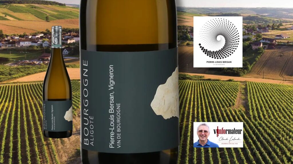 Bourgogne Aligoté : une belle découverte entre Chablis et Auxerre à 19,95 $!