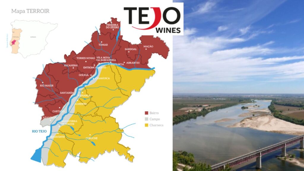 Carte viticole Tejo
