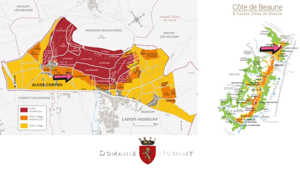 Carte viticole Aloxe-Corton et Côte de Beaune