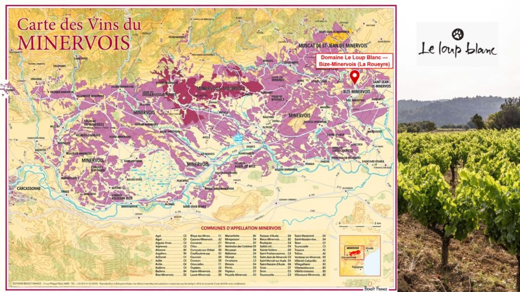 Carte viticole Minervois