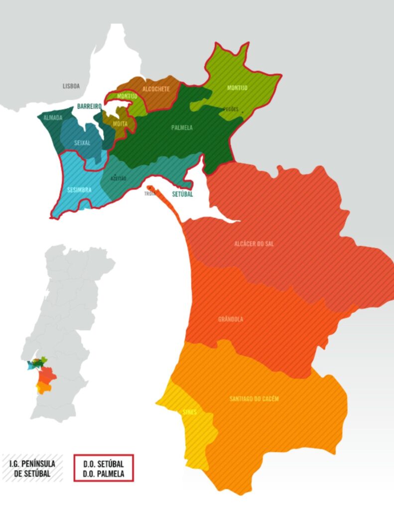 Carte viticole Péninsule de Setubal