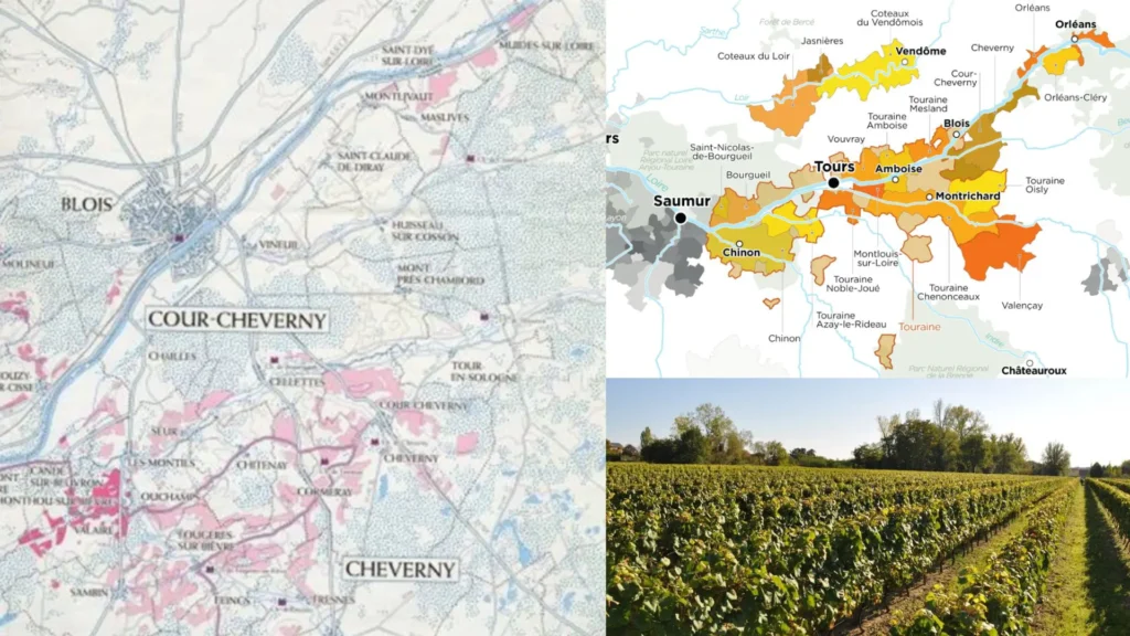 Carte viticole Touraine - Cheverny