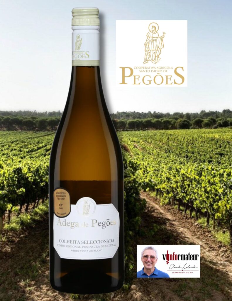 Adega de Pegoes, Colheita Seleccionada, Portugal, Péninsule de Sétubal IGP, Cooperativa Agricola de Santo Isidro de Pegoes, vin blanc, 2024 bouteille