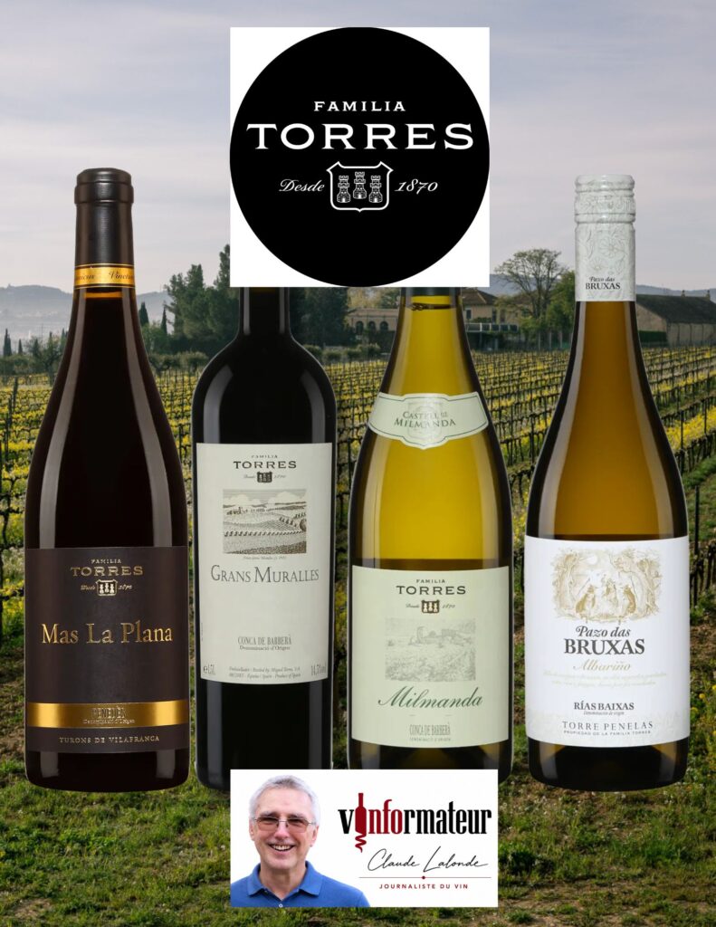 Dégustation vins Familia Torres bouteilles