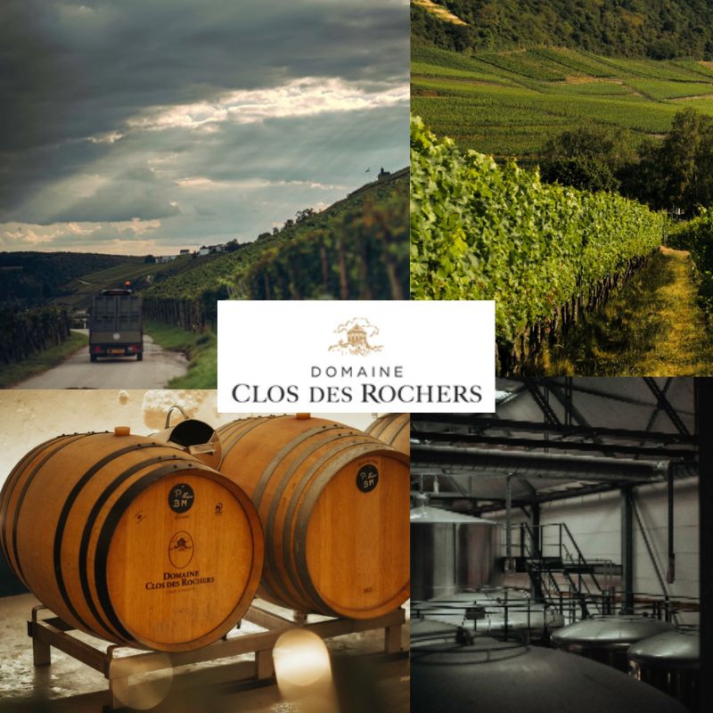 Domaine Clos des Rochers