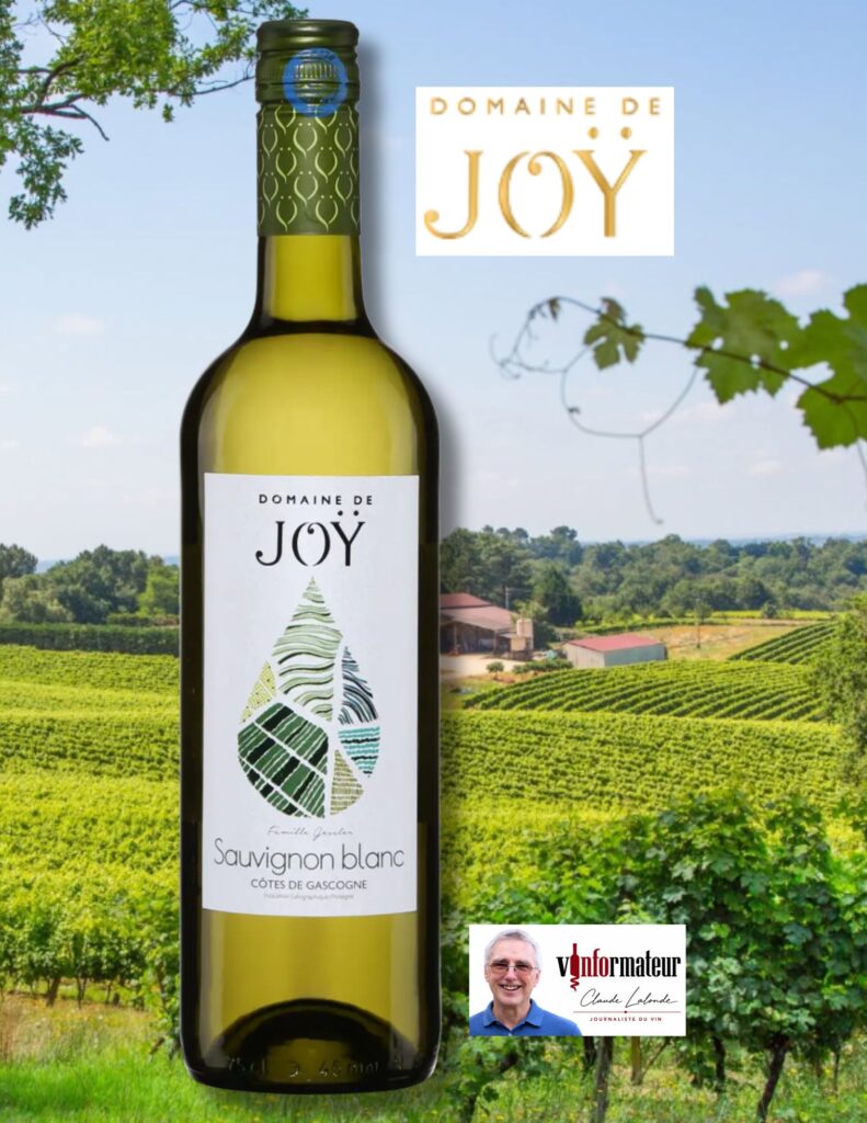 Domaine de Joy, France, Sud-Ouest, Côtes de Gascogne, vin blanc, 2025 bouteille