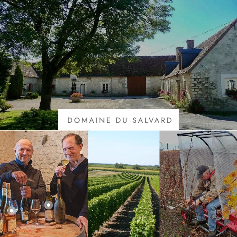 Domaine du Salvard: chai et vignobles