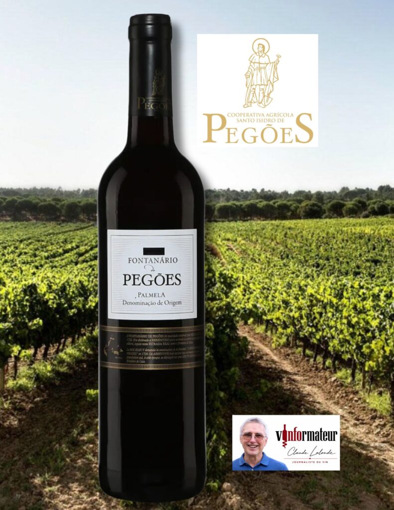 Fontanario de Pegoes, Péninsule de Setubal, Palmela DOC, vin rouge, 2024 bouteille