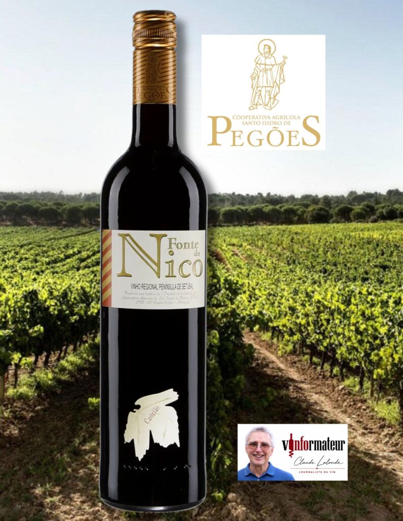Fonte de Nico, Castelao, Portugal, Vinho Regional, Péninsule de Setubal IGP, vin rouge bouteille