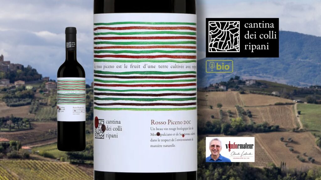 Rosso Piceno : beaucoup de fraîcheur et de caractère pour 20,95 $