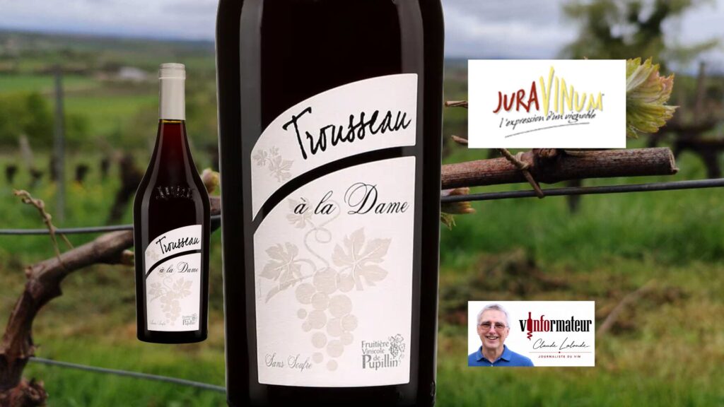 Trousseau du Jura : le rouge nature qui a tout compris aux nouvelles envies des amateurs de vin!