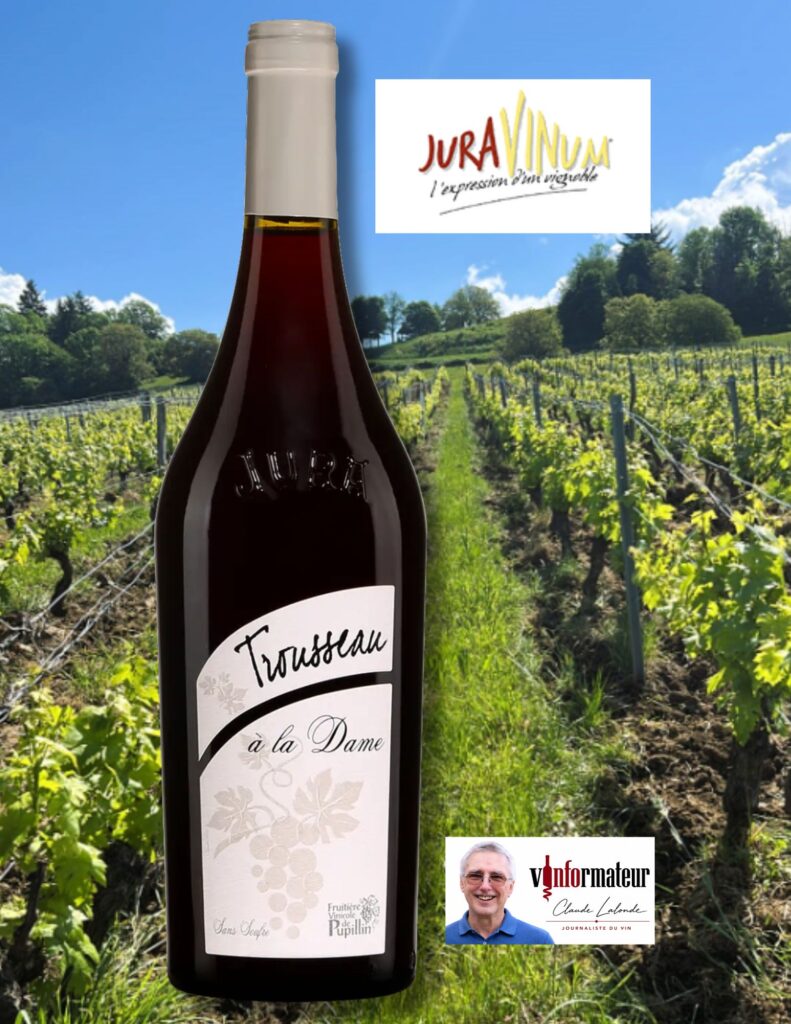 Trousseau, France, Jura, Arbois-Pupillin, vin rouge nature (sans sulfites ajoutés), Fruitière Vinicole de Pupillin, 2025 bouteille