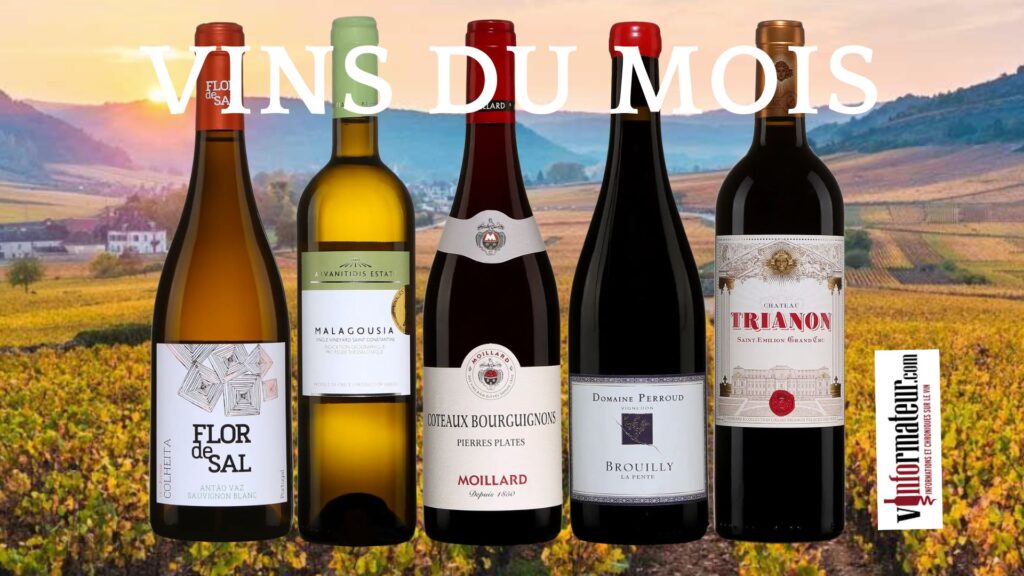 Les meilleurs vins de septembre : 5 belles découvertes à ne pas manquer!