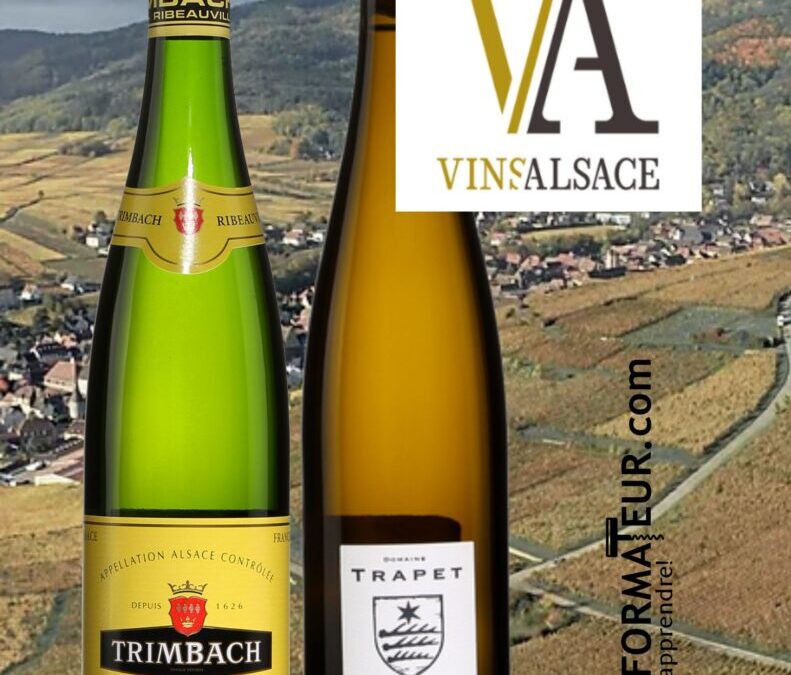 Deux vins blancs d’Alsace qui m’envôutent!