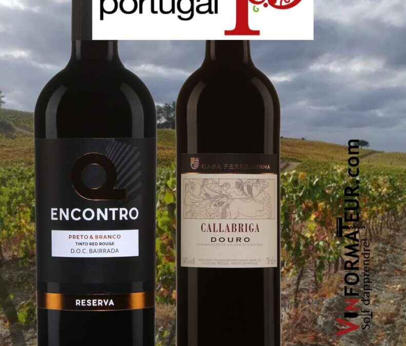 Deux vins incontournables du Portugal! Le Callabriga et le Encontro Reserva.