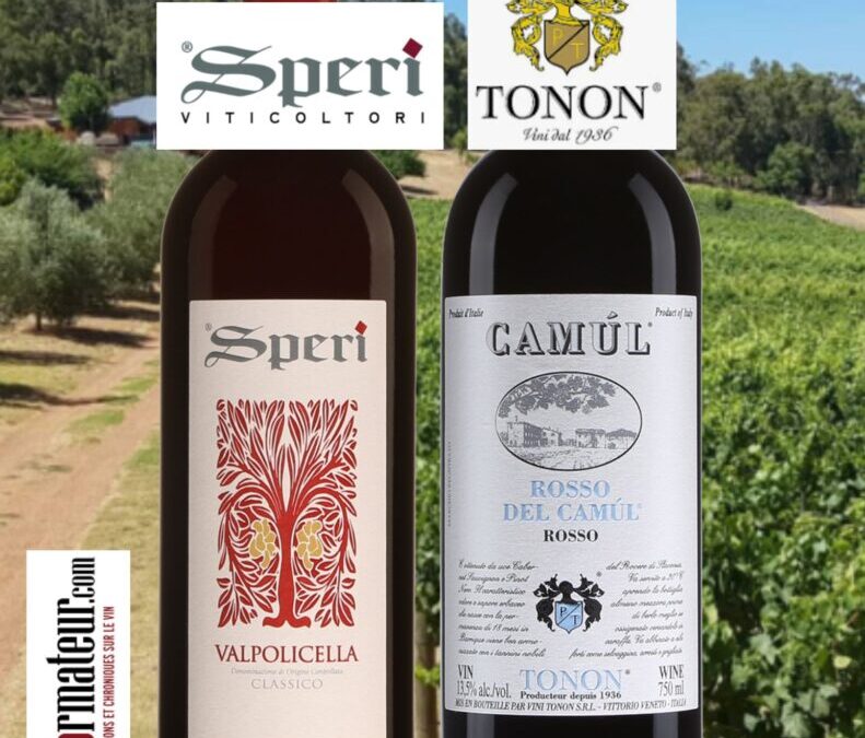 Deux vins rouges de Vénétie!