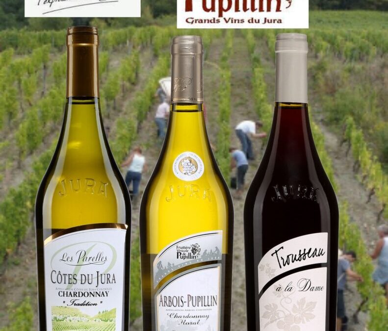 L’univers aromatique des vins du Jura. Un monde à découvrir!