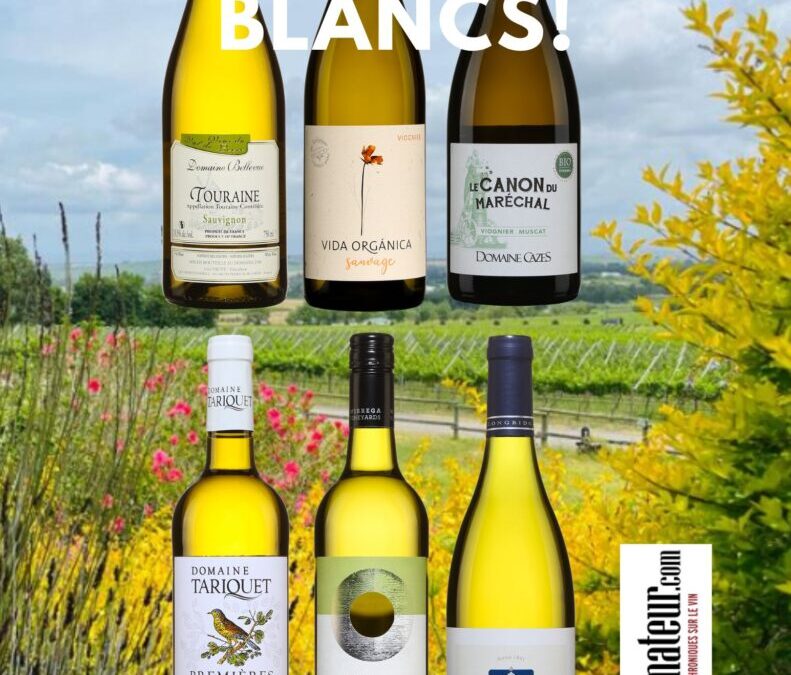 Six délicieux vins blancs de partout sur la planète!
